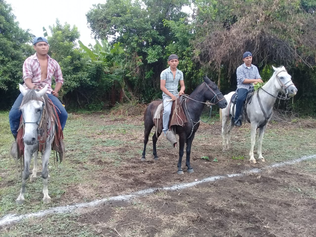 actividades